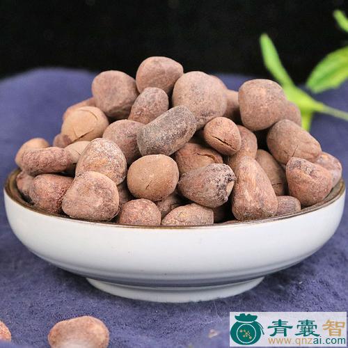 中药材排风子图片
