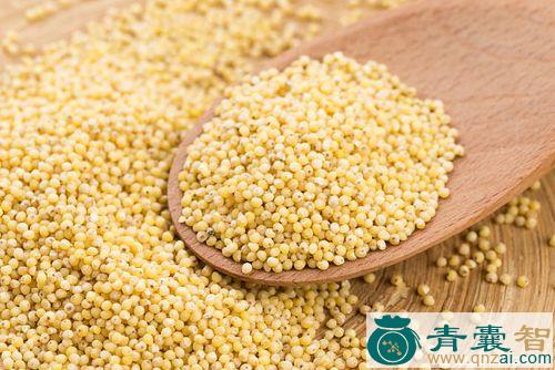 搏黍的性味归经以及功效用法-青囊智