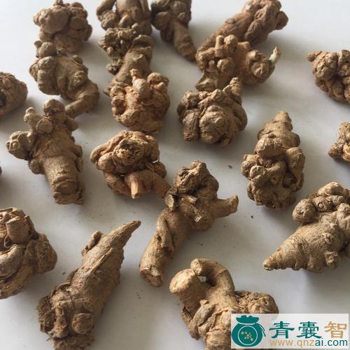 中药材摇痕七图片
