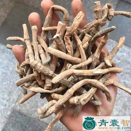 中药材擦锡藤图片