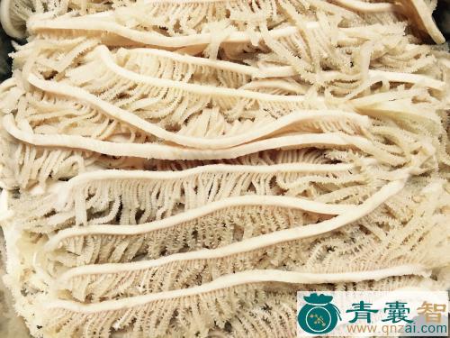 中药材放牛郎图片