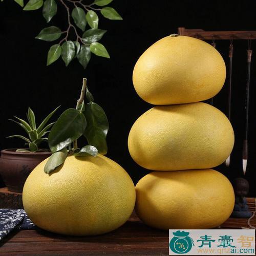 中药材文旦图片