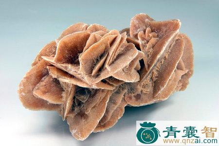 中药材斑羚血图片
