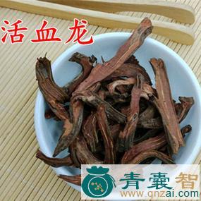 斑龙紫的性状性味归经以及功效用法和注意事项-青囊智