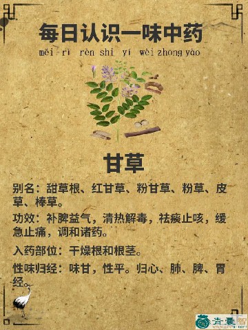 中药材旋葍草根图片