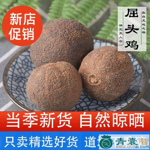 中药材旋鸡头图片