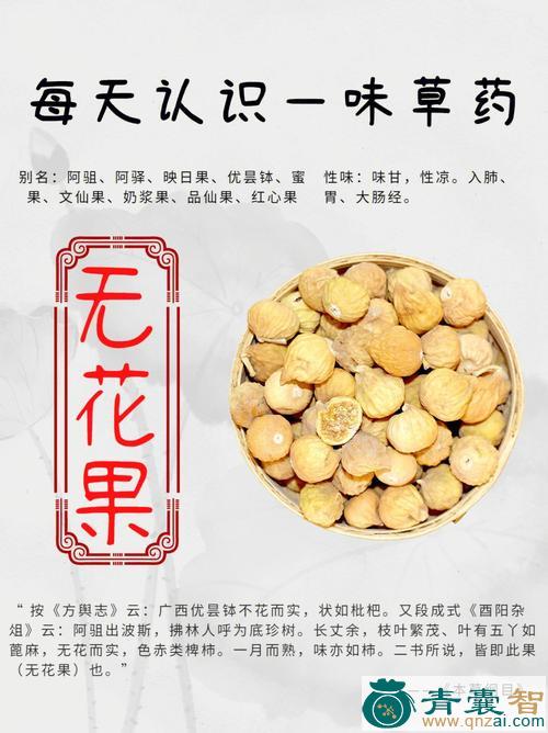 中药材无姑图片