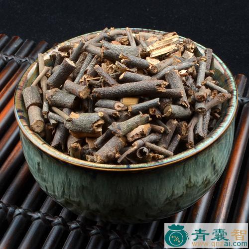 中药材无患子寄生图片