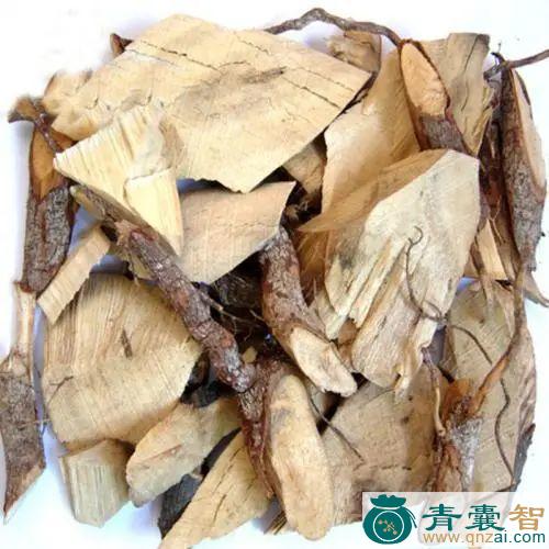 中药材无患树蔃图片