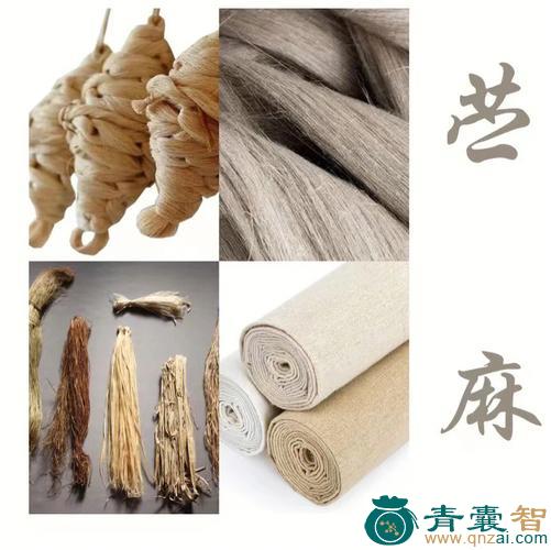 无骨苎麻的性状性味归经以及功效用法和注意事项-青囊智