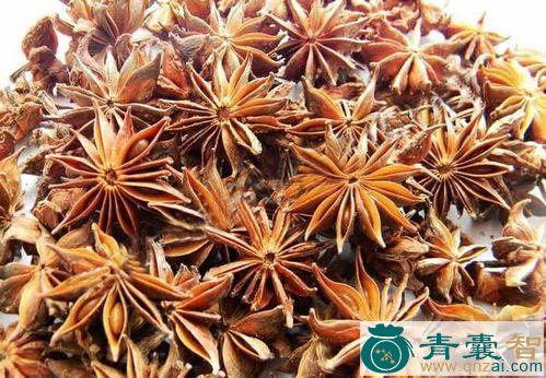 中药材旱八角图片
