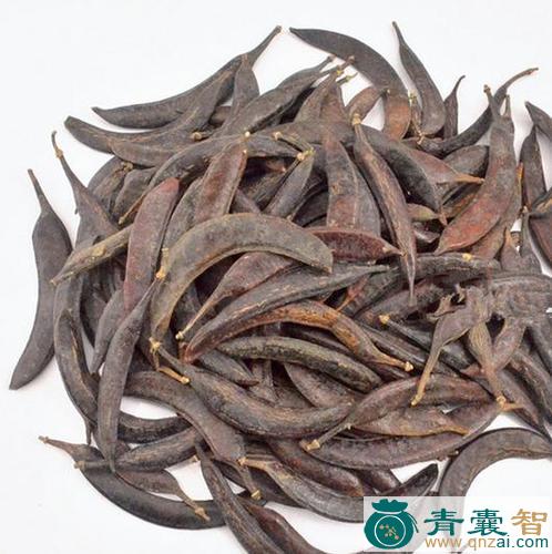中药材旱皂角图片