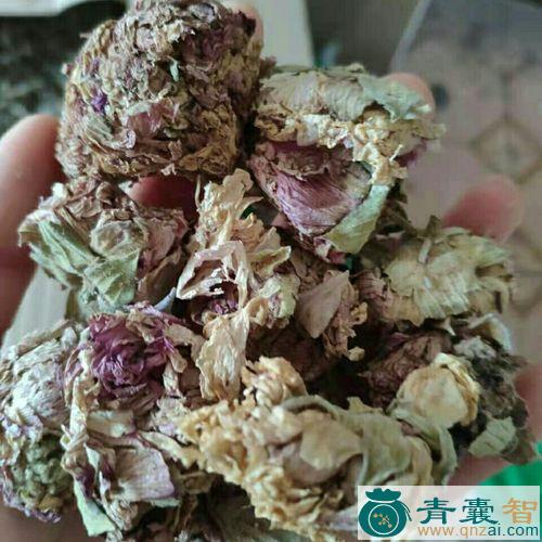 中药材旱芙蓉图片