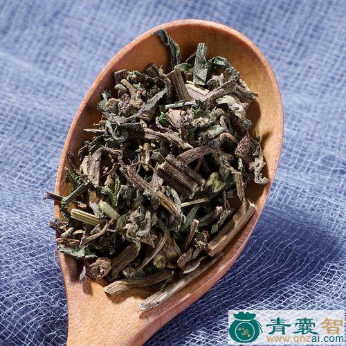 中药材旱莲花图片