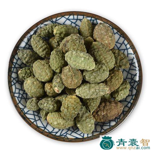 昆仑瓜的性状性味归经以及功效用法和注意事项-青囊智