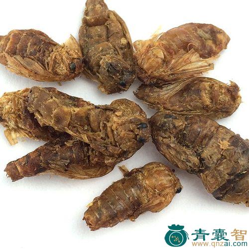 中药材昌娥图片