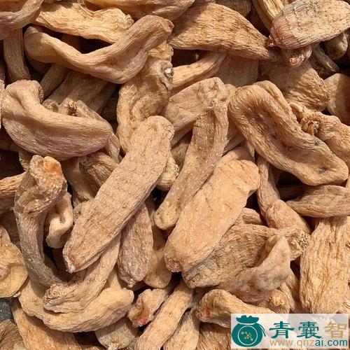 中药材明天麻图片