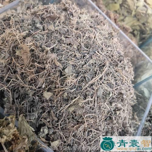 中药材明头草图片