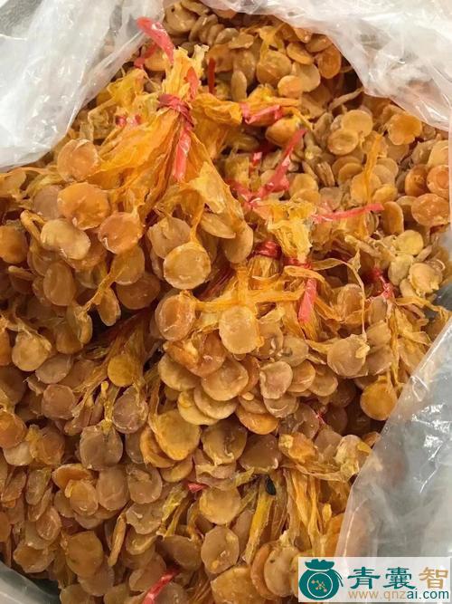 中药材明目鱼图片