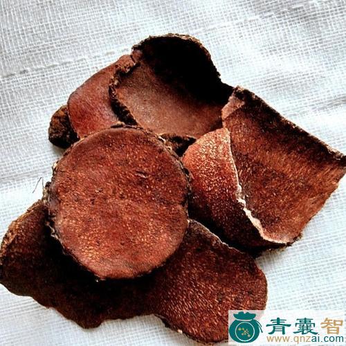 中药材映山红子图片