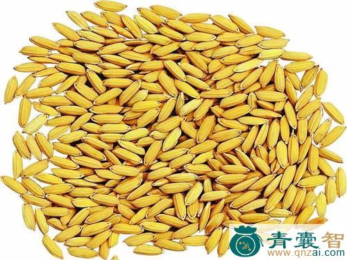 中药材春杵头细糠图片