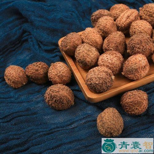 中药材春砂仁图片