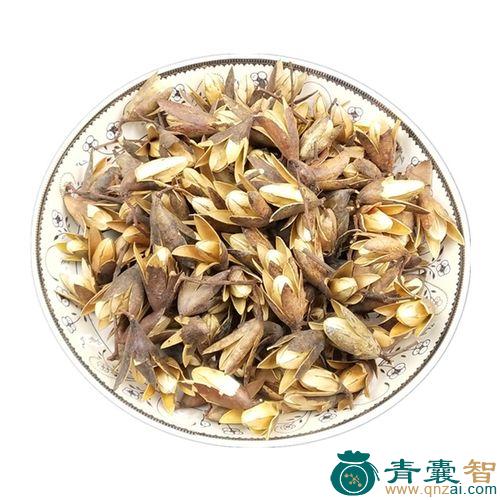 中药材春铃子图片