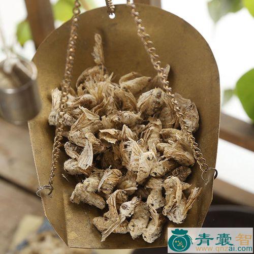 中药材晚蚕蛾图片