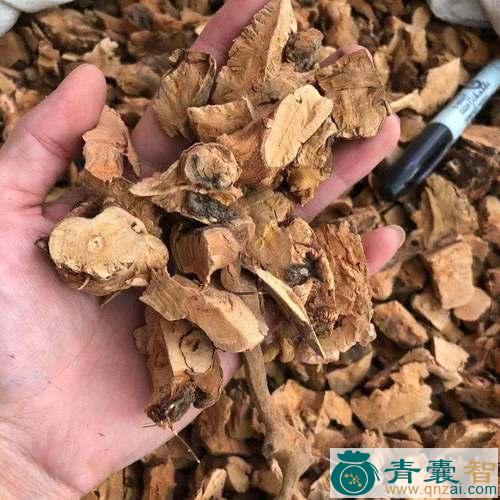 中药材暗山香图片