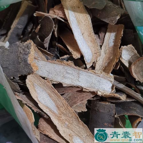 中药材暴马子图片