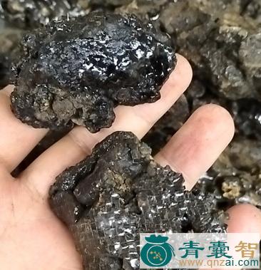 中药材曩伽结图片