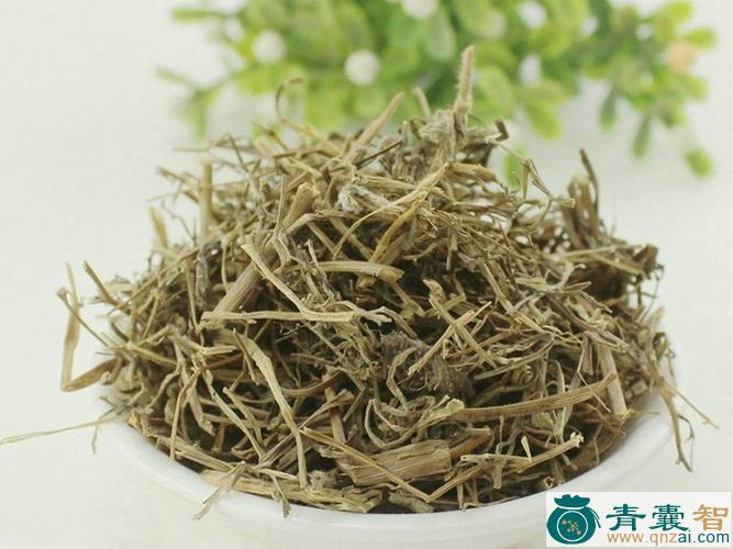 中药材曱甴草图片