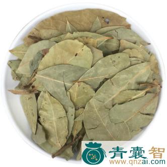 中药材月月换叶图片