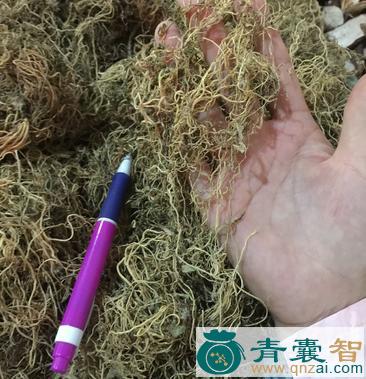 中药材有根无叶图片