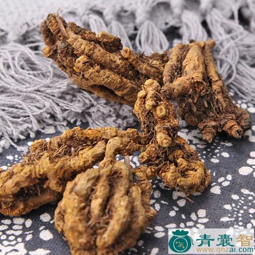 中药材有竻火炭藤图片