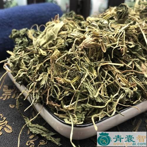 中药材有竻犁牛草图片