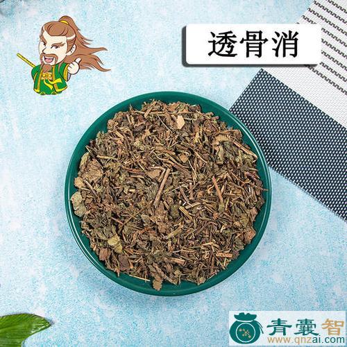 中药材有骨消图片