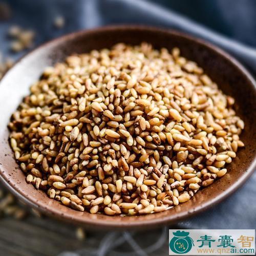 中药材朝鲜崖柏仁图片