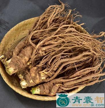 朝鲜当归的性状性味归经以及功效用法-青囊智