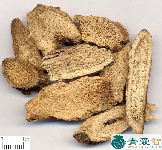 朝鲜梾木枝的性味归经以及功效用法-青囊智