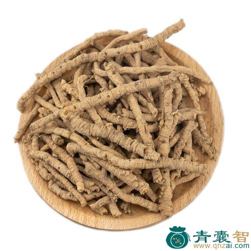 中药材木本远志图片