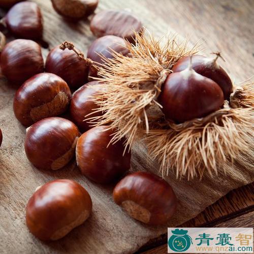 中药材木栗图片