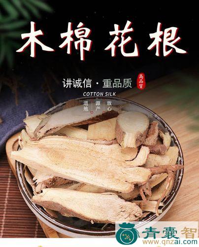 中药材木棉根图片