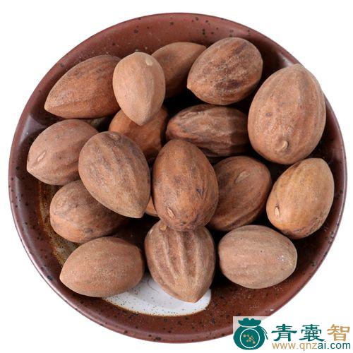 中药材木榧图片