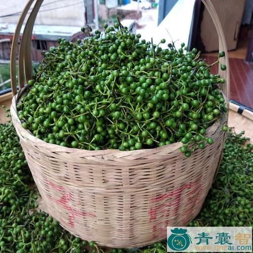 中药材木樟子图片