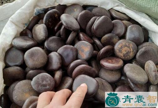 中药材木腰子图片