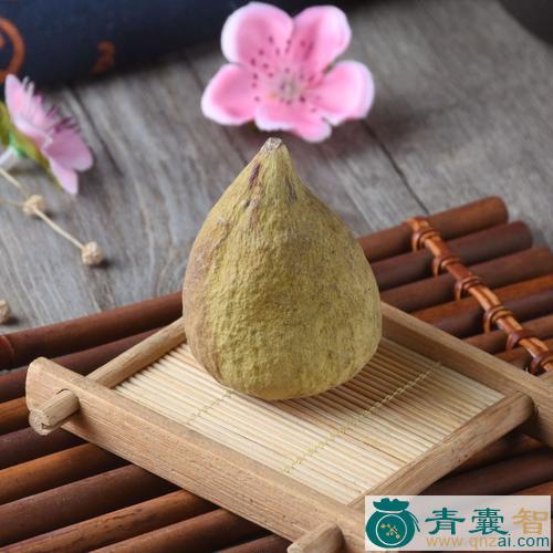 中药材木莲果图片