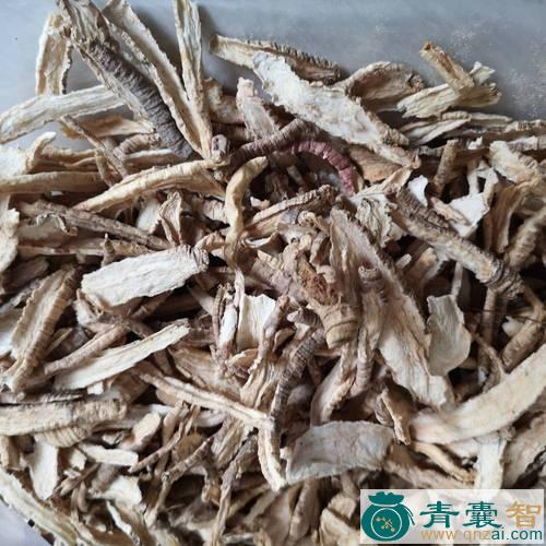 中药材木质山海螺图片