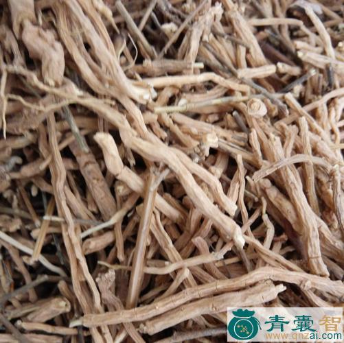 中药材木远志图片