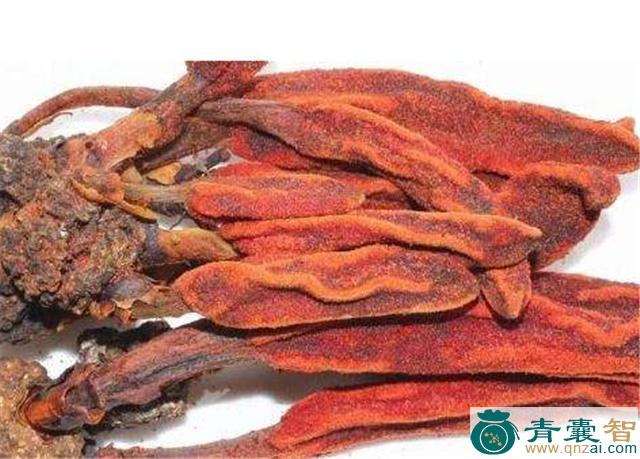 中药材木里仙图片